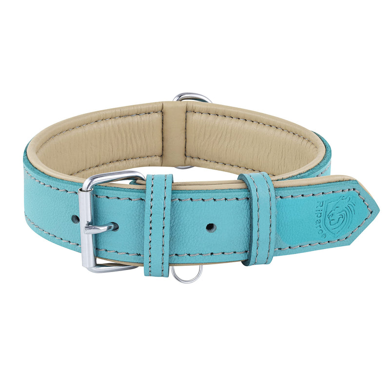 Riparo Genuine Leather Adjustable K-9 Dog Collar with Additional Reinforcement (M: 2.5CM Wide for 34.3CM - 44.5CM Neck, Aqua) M - PawsPlanet Australia