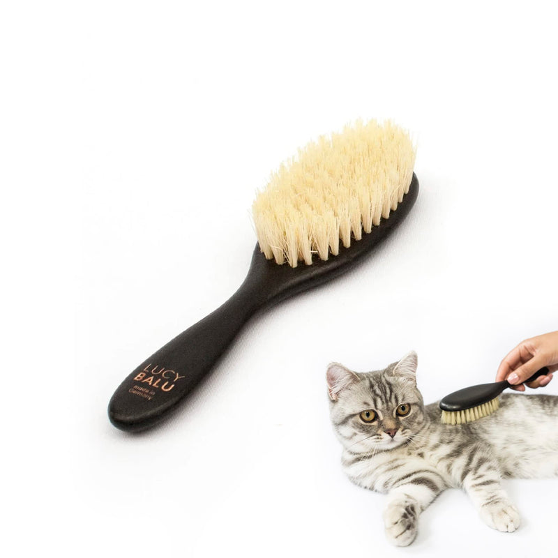 LucyBalu® cat brush short hair & long hair | Fur brush for cats| Cat comb for grooming cats | Pet hair brush for cats | Cat hair brush with agave fiber bristles & wooden handle vegan black - PawsPlanet Australia