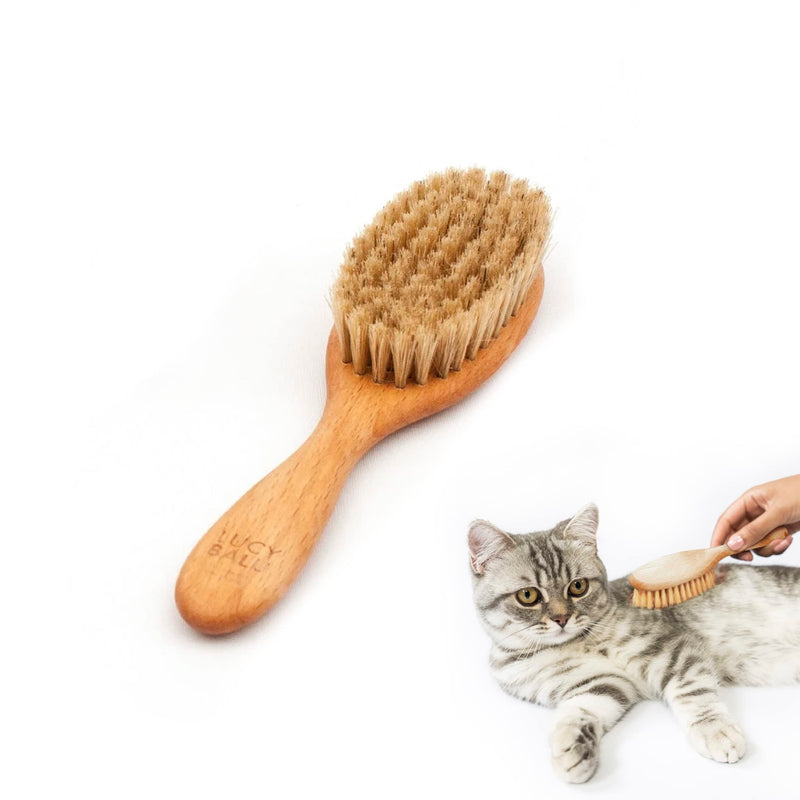 LucyBalu® cat brush for short hair & long hair | Fur brush for cats| Cat comb for grooming cats | Pet Hair Brush for Cats| Cat hair brush with natural bristles & wooden handle | oiled nature - PawsPlanet Australia