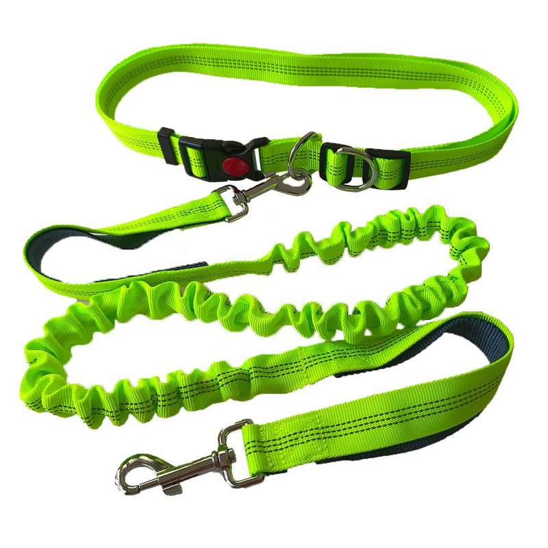QitinDasen Green Hands-Free Dog Lead, Adjustable Waist Belt and Dual Handles Stretchy Bungee Lead, Jogging Dog Lead with Reflective Stitching (Grey Handle) - PawsPlanet Australia