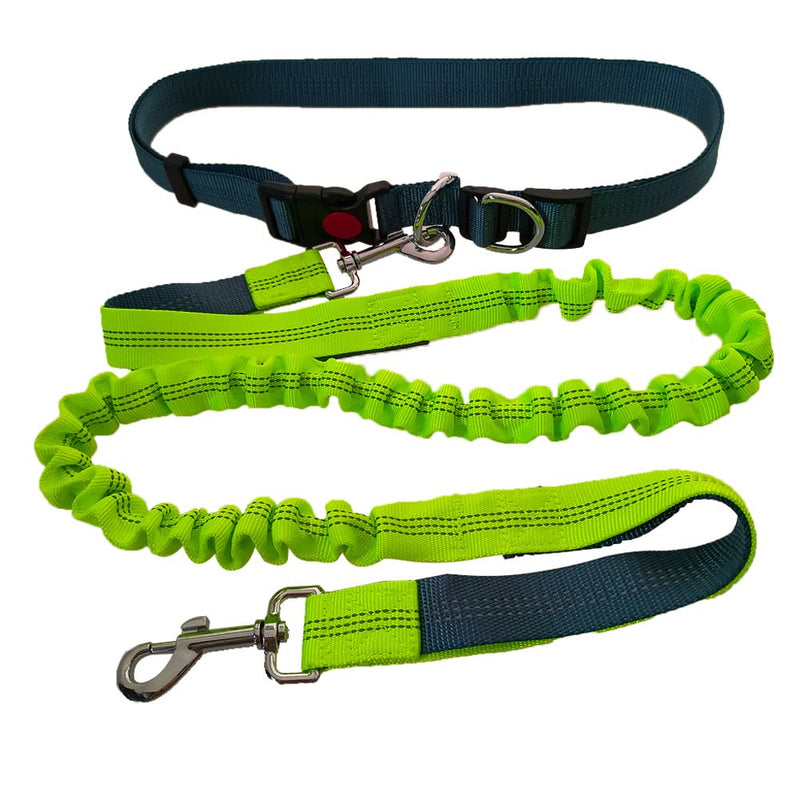 QitinDasen Hands-Free Dog Leash, Gray Adjustable Waist Belt and Green Stretchy Bungee Leash, Jogging Dog Leash with Reflective Stitching - PawsPlanet Australia
