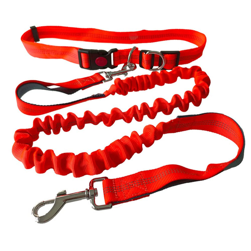 QitinDasen Orange Hands-Free Dog Lead, Adjustable Waist Belt and Dual Handles Stretchy Bungee Lead, Jogging Dog Lead with Reflective Stitching (Grey Handle) - PawsPlanet Australia