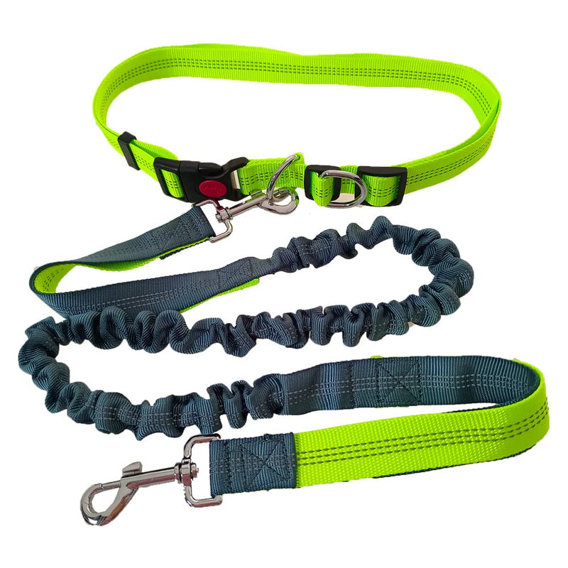 QitinDasen Hands-Free Dog Leash, Green Adjustable Waist Belt and Gray Stretchy Bungee Leash, Jogging Dog Leash with Reflective Stitching - PawsPlanet Australia