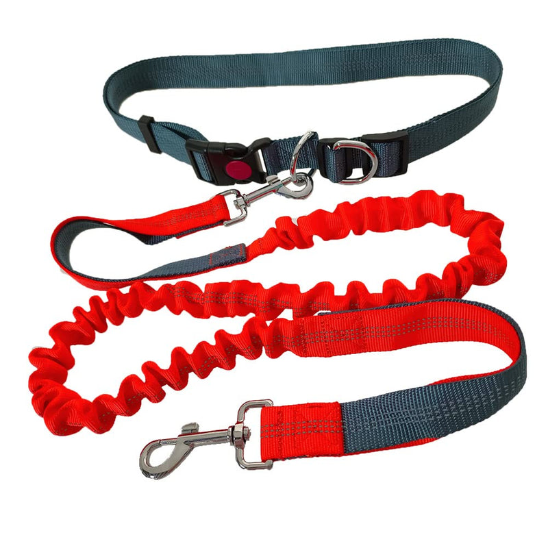 QitinDasen Hands-Free Dog Leash, Gray Adjustable Waist Belt and Orange Stretchy Bungee Leash, Jogging Dog Leash with Reflective Stitching - PawsPlanet Australia