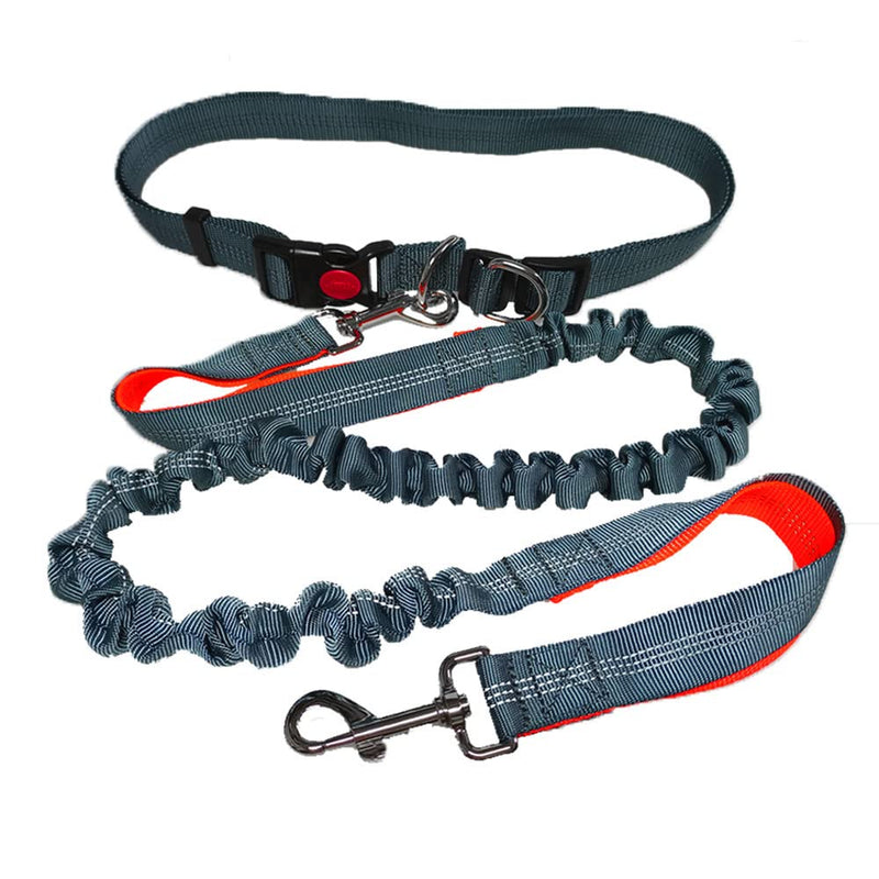 QitinDasen Gray Hands-Free Dog Lead, Adjustable Waist Belt and Dual Handles Stretchy Bungee Lead, Jogging Dog Lead with Reflective Stitching (Orange Handle) - PawsPlanet Australia