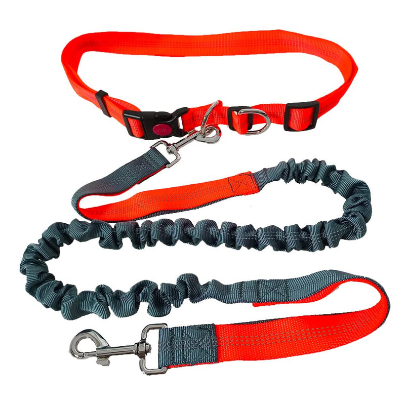 QitinDasen Hands-Free Dog Leash, Orange Adjustable Waist Belt and Gray Stretchy Bungee Leash, Jogging Dog Leash with Reflective Stitching - PawsPlanet Australia