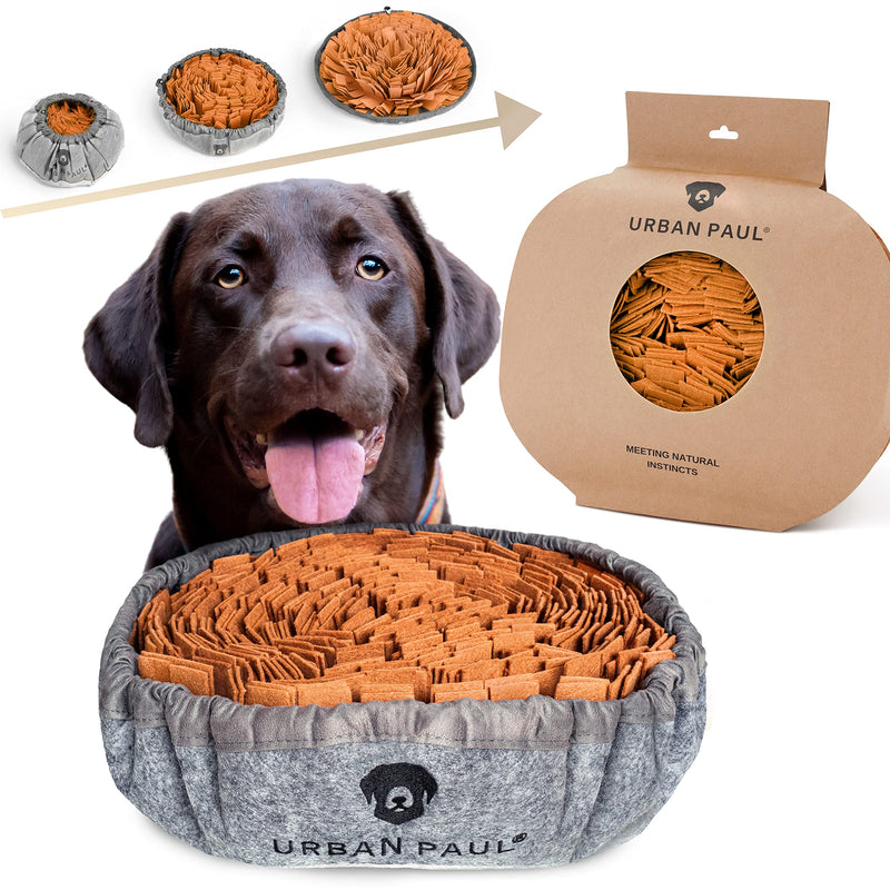 URBAN PAUL® sniffing carpet for dogs - best materials - extremely durable intelligence toy for dogs - size-adjustable and washable (grey) 48x48 cm grey - PawsPlanet Australia