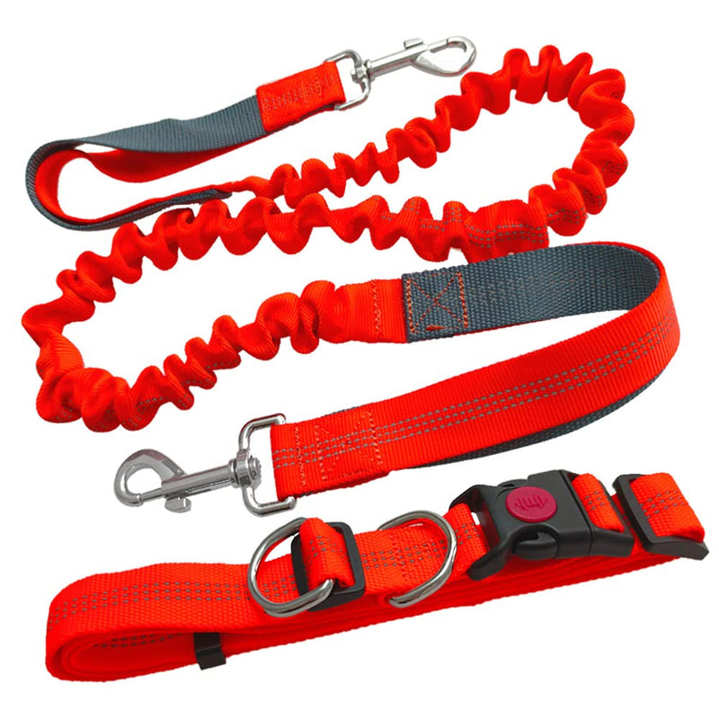 Aiqeer Orange Hands-Free Dog Lead, Adjustable Waist Belt and Stretchy Bungee Lead, Jogging Dog Lead with Reflective Stitching (Grey Handle) - PawsPlanet Australia