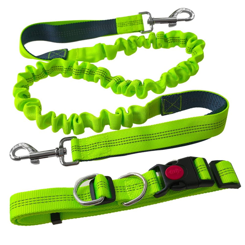 Aiqeer Green Hands-Free Dog Lead, Adjustable Waist Belt and Stretchy Bungee Lead, Jogging Dog Lead with Reflective Stitching (Grey Handle) - PawsPlanet Australia