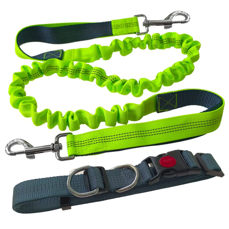 Aiqeer Hands-Free Dog Leash, Gray Adjustable Waist Belt and Green Stretchy Bungee Leash, Jogging Dog Leash with Reflective Stitching - PawsPlanet Australia