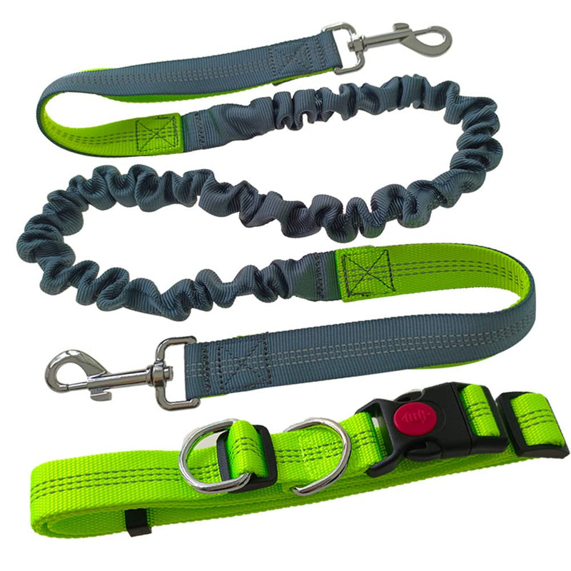 Aiqeer Hands-Free Dog Leash, Green Adjustable Waist Belt and Gray Stretchy Bungee Leash, Jogging Dog Leash with Reflective Stitching - PawsPlanet Australia