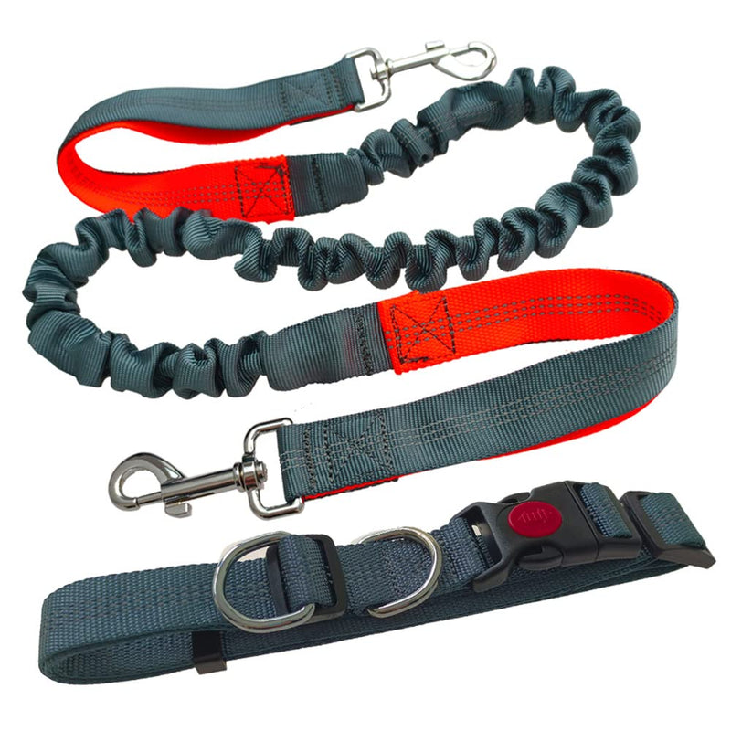 Aiqeer Gray Hands-Free Dog Lead, Adjustable Waist Belt and Stretchy Bungee Lead, Jogging Dog Lead with Reflective Stitching (Orange Handle) - PawsPlanet Australia