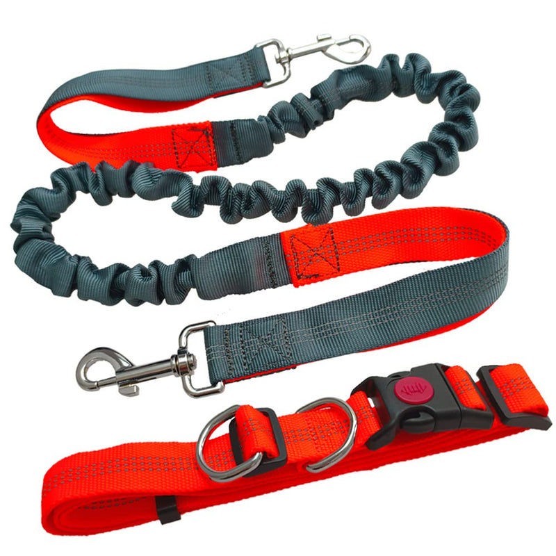 Aiqeer Hands-Free Dog Leash, Orange Adjustable Waist Belt and Gray Stretchy Bungee Leash, Jogging Dog Leash with Reflective Stitching - PawsPlanet Australia