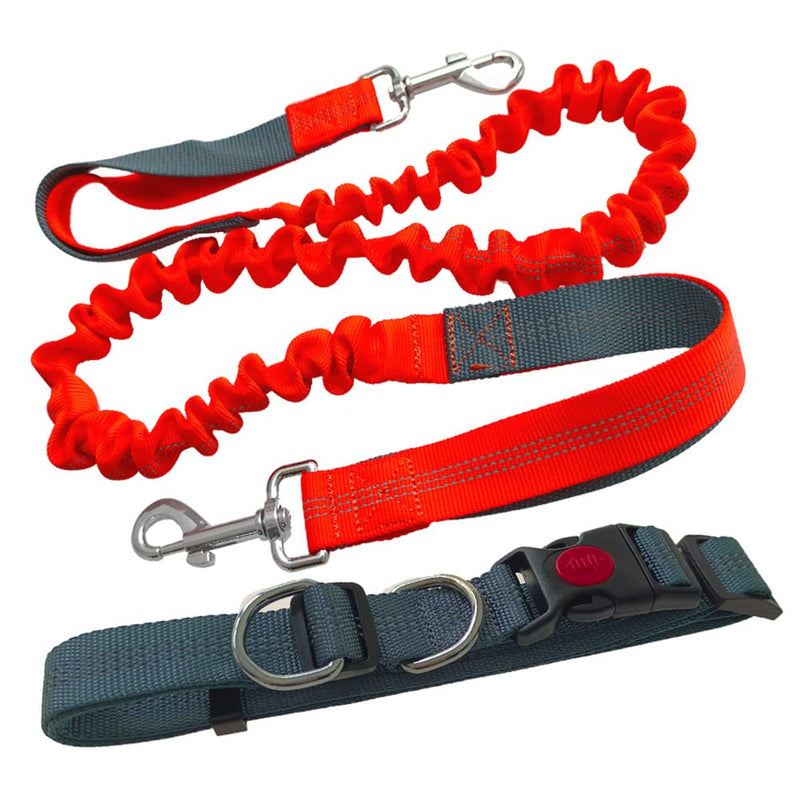 Aiqeer Hands-Free Dog Leash, Gray Adjustable Waist Belt and Orange Stretchy Bungee Leash, Jogging Dog Leash with Reflective Stitching - PawsPlanet Australia