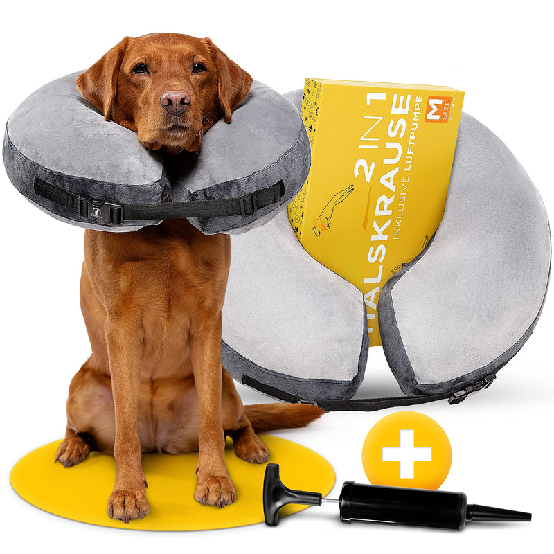 Tierhood ® - inflatable neck collar for dogs and cats [PROTECTIVE] Leak protection dog - dog collar - protective collar dog - neck collar dog - dog collars - neck brace dog - neck brace cat - collar M - PawsPlanet Australia