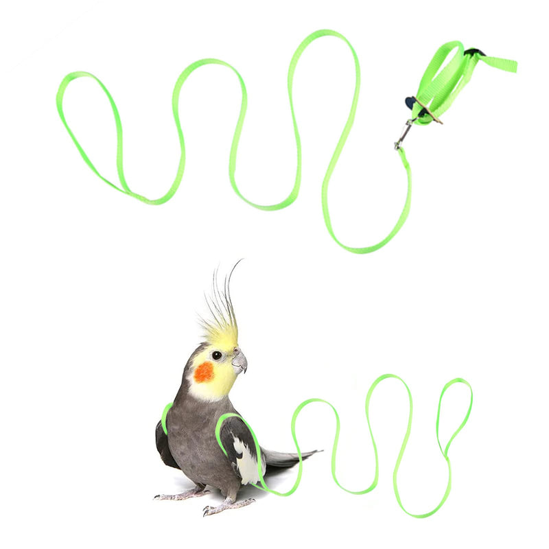 Pet Parrot Bird Harness, Bird Harness Leash, Bird Harness and Leash for Parrots Adjustable, Anti-bite Flight Training Rope Pet Traction Outdoor Fit Budgie Cockatiel Mynah - PawsPlanet Australia