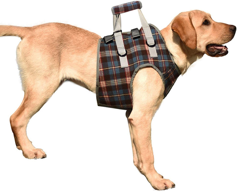 XTrador dog harness walking aid for dogs especially for problems with the shoulder carrying strap for injured, older or musculoskeletal limited dogs rehabilitation safety walking aid (S) S - PawsPlanet Australia
