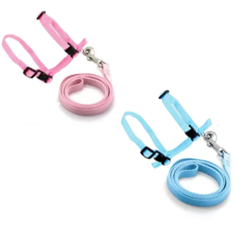 Maloftars Pack of 2 Rabbit Harnesses with Leash, Adjustable Rabbit Harness, Escape-Proof Rabbit Leash, Jogging Harness, Nylon Rabbit Harness for Small Animals, Blue & Pink - PawsPlanet Australia