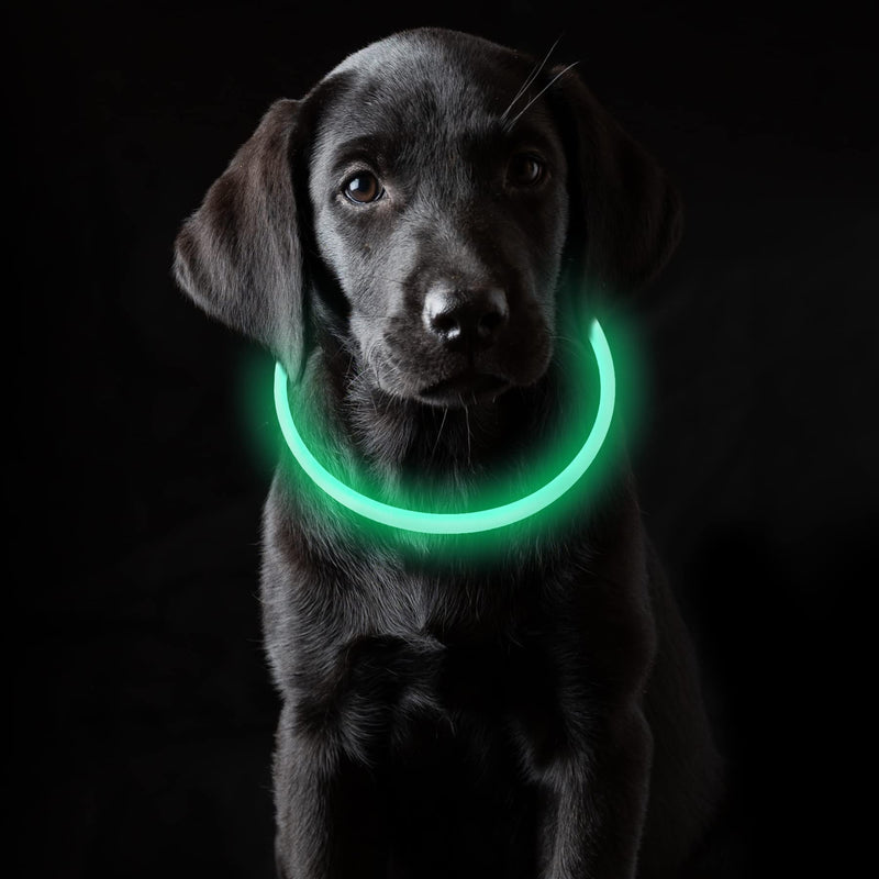 Coolzon LED light collar, rechargeable dog collar, waterproof dog collar, 3 modes, light band, dog collar, length adjustable, super bright collar, cat and dog, small, large, medium, green - PawsPlanet Australia