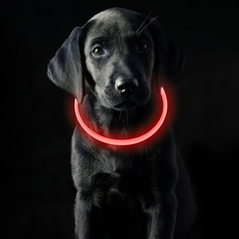 Coolzon LED light collar, rechargeable dog collar, waterproof dog collar, 3 modes, light band, dog collar, length adjustable, super bright collar, cat and dog, small, large, medium, red - PawsPlanet Australia
