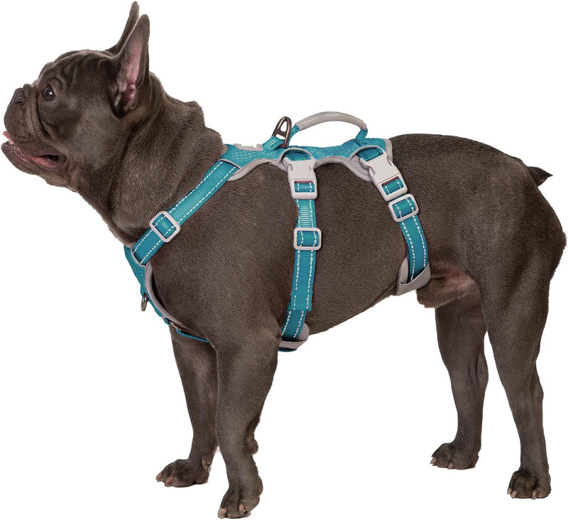 Huntboo Safety Harness Dog Escape Proof, Escape Artist Harness, Reflective Harness with Padded Handle, Durable, Adjustable Vest for Small Dogs Walking (Blue, S) Blue Small (Pack of 1) - PawsPlanet Australia