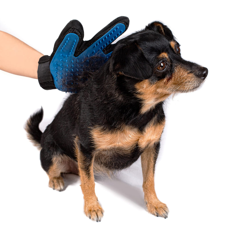 Grooming glove blue - PawsPlanet Australia