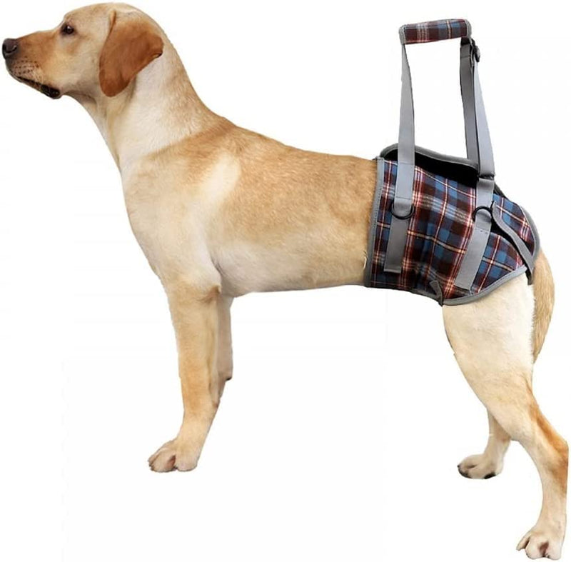 XTrador entry and carrying aid for dogs especially for hip problems for injured, older or musculoskeletal dogs (S) S - PawsPlanet Australia