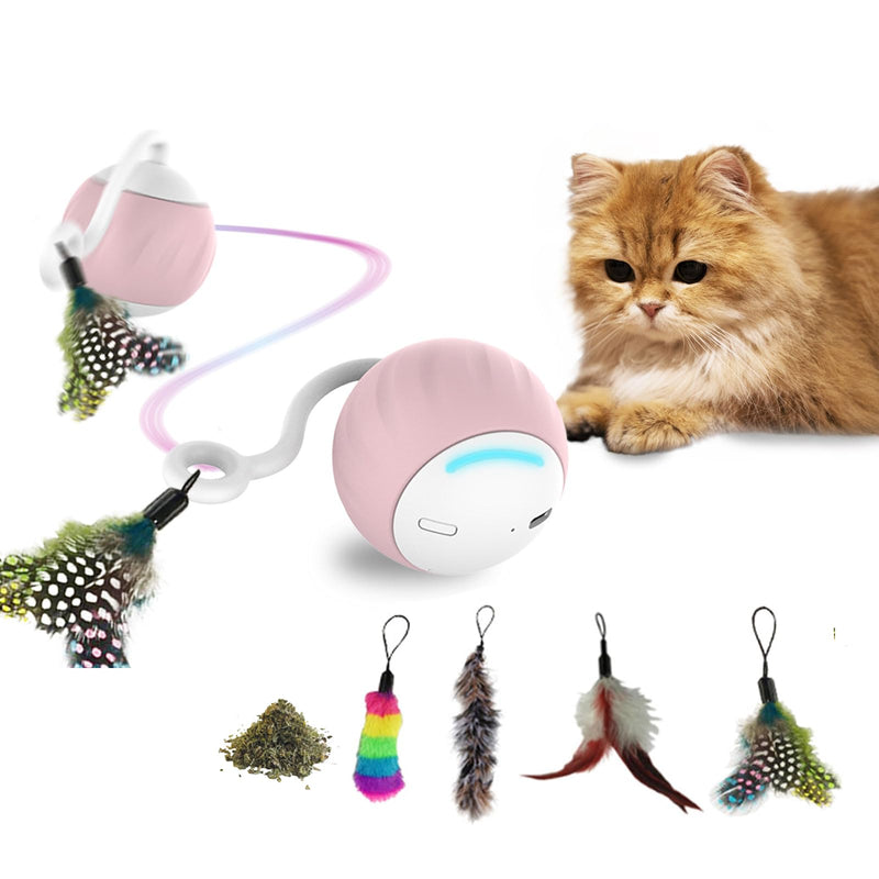 DigiMouse Interactive Cat Toy with Voice Activation & 4 Replacement Feathers & Catnip - Electric Cat Ball - Self-employment for Cats - LED Light Toy with USB-C Port - PawsPlanet Australia
