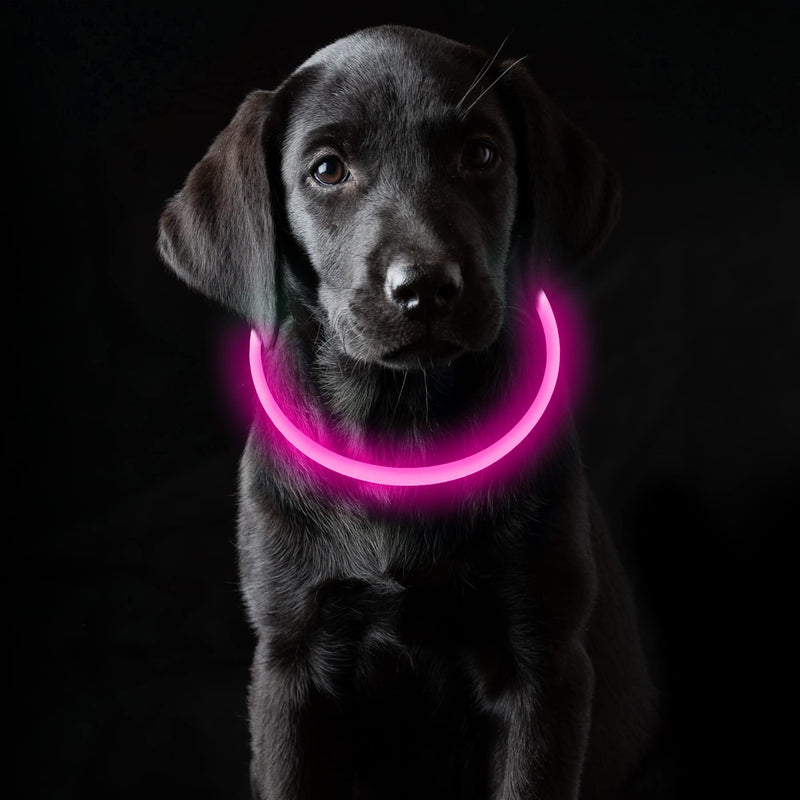 Coolzon LED light collar, rechargeable dog collar, waterproof dog collar, 3 modes, light band, dog collar, length adjustable, super bright collar, cat and dog, small, large, medium, pink - PawsPlanet Australia