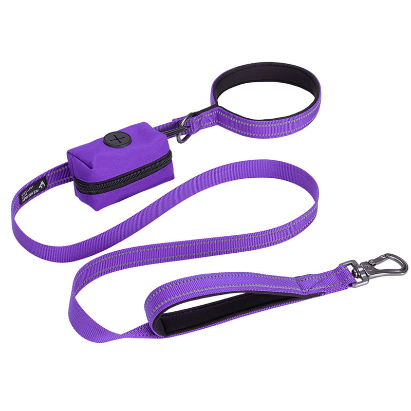 EXCELLENT ELITE SPANKER Reflective Nylon Dog Training Leash Strong Durable Dog Leash 5 Feet Long 1" Wide with Poop Bag Holder for Small and Medium Dogs（Purple）Purple 5.2FT*1'' - PawsPlanet Australia