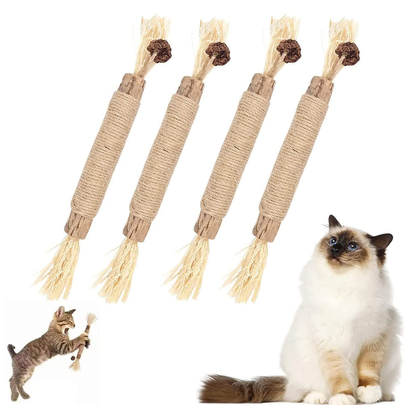 Tsathoggua catnip sticks, 4 pieces catnip toys, interactive cat toy, cat toy, cat toy for removing tartar, refreshing breath, organic interaction cat grass - PawsPlanet Australia