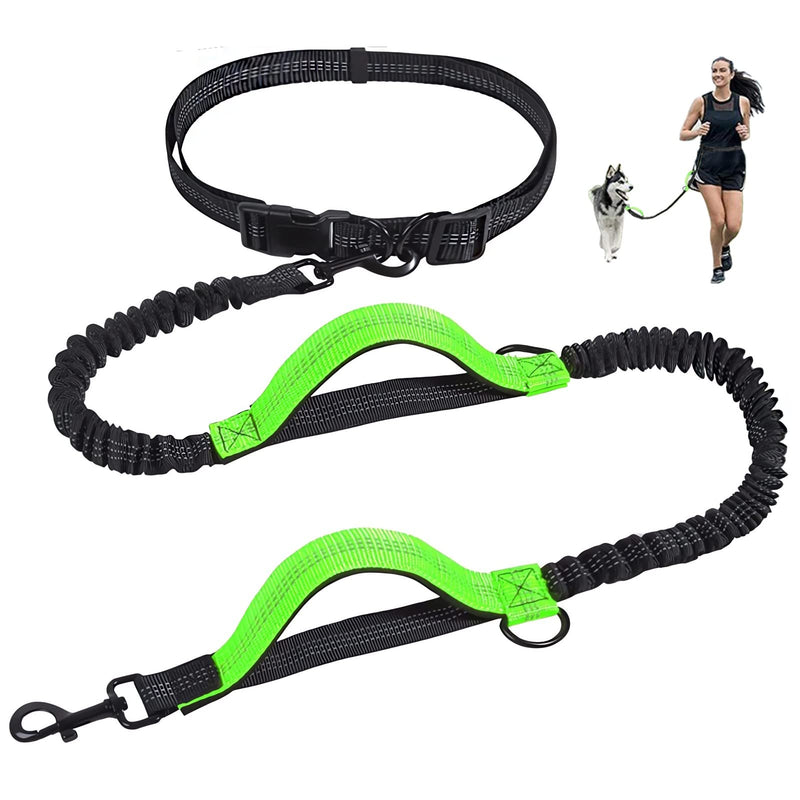 Jogging leash for dogs, Unipampa hands-free dog leash, hand-free dog leash, jogging dog leash, with waist strap, reflective seams, 120-170 cm, double handle, for small dogs, medium-sized dogs... Green - PawsPlanet Australia