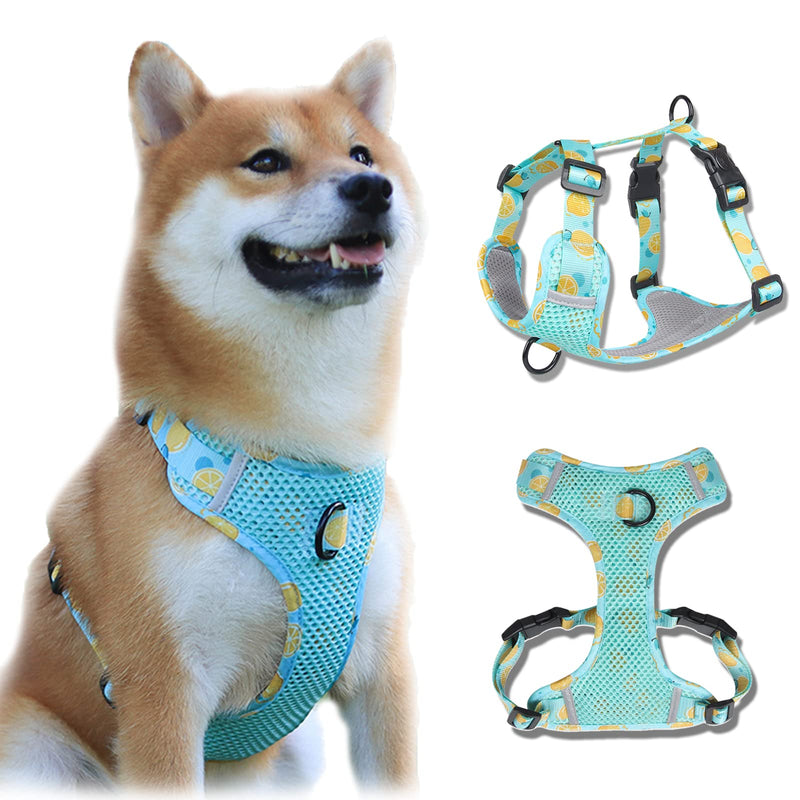 Lairle Dog Harness Fruit Pattern, Mesh Dog Harness, No Pull Dog Harness Adjustable Reflective Dog Vest Harness for Small Medium Large Dogs M Blue - PawsPlanet Australia