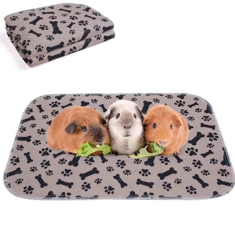 Snagle Paw Washable Pet Urine Pad, Set of 2 45*60cm Reusable Pet Training Pads, Non-Slip PIPI Pads, Quick Absorbing Puppy Pad Mat for Dogs, Guinea Pigs, Cats 45*60cm (2 PCS)-Beige - PawsPlanet Australia