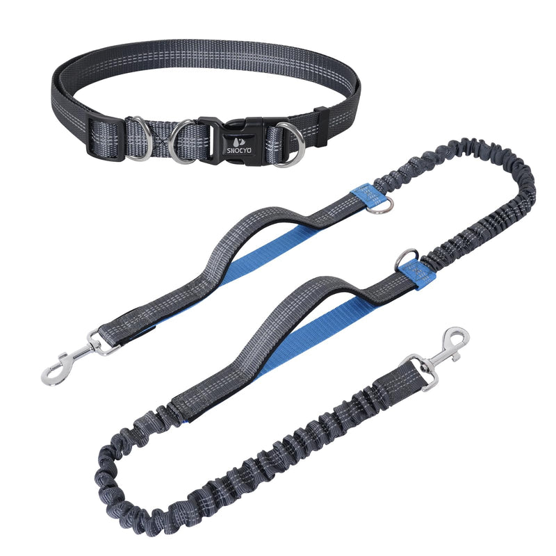Snocyo jogging leash for dogs, jogging dog leash for medium and large dogs, elastic and reflective dog leash, retractable running leash with double handle and waist belt for one dog, gray and royal blue - PawsPlanet Australia