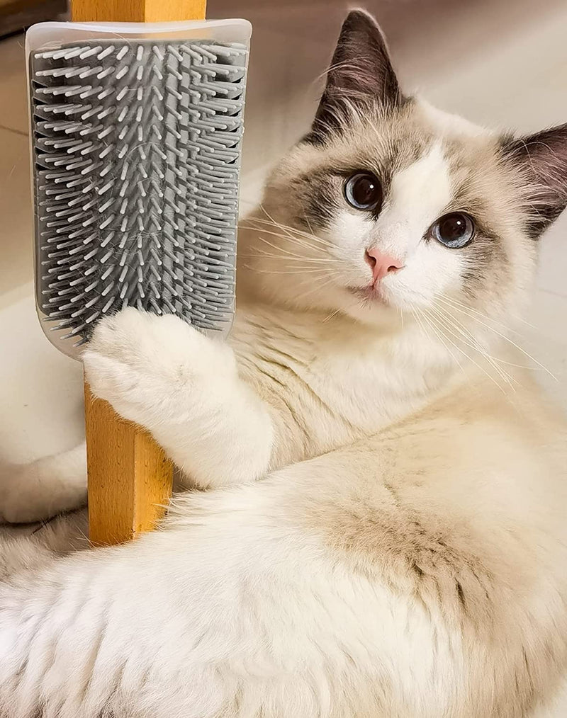 Vebetter cat brush, cat self groomer, massage corner cat brush, cat brush wall, gentle cat brush with catnip for doors, tables, walls, long hair, short hair cat grooming, cat toy. - PawsPlanet Australia