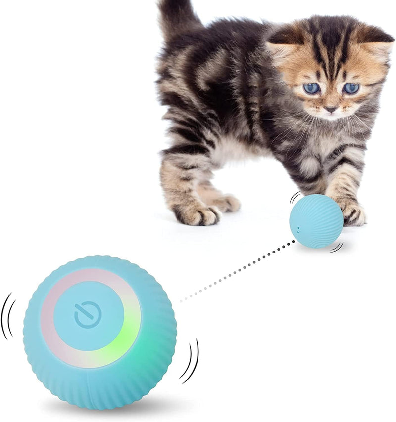 Mkitnvy Interactive Cat Toy Ball, Cat Ball with LED Light, 360° Self-Rotating Electronic Cat Ball, Stimulating Hunting Drive, Funny Balls Toy for Cats, Blue - PawsPlanet Australia
