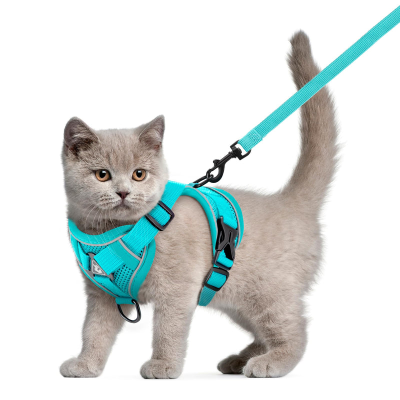 Cat Harnesses with Leash Adjustable Harness for Cats Breathable Escape Proof Chest Harness for Kittens, Dogs Puppies Train Walking (M) M - PawsPlanet Australia
