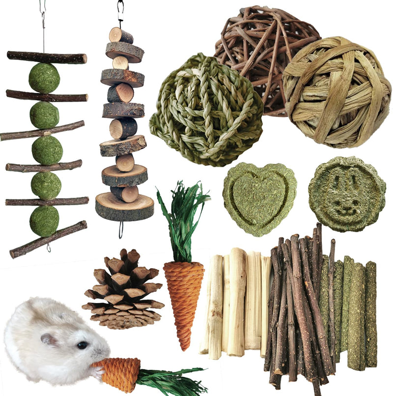 Rabbit Toy, Small Animal Chew Toy for Small Animals, Molar Toy, Dental Care, Wooden Accessories for Guinea Pigs, Chinchillas, Gerbils, Mice, Rats, Mouse (Chew Toy Set A) Chew Toy Set A - PawsPlanet Australia