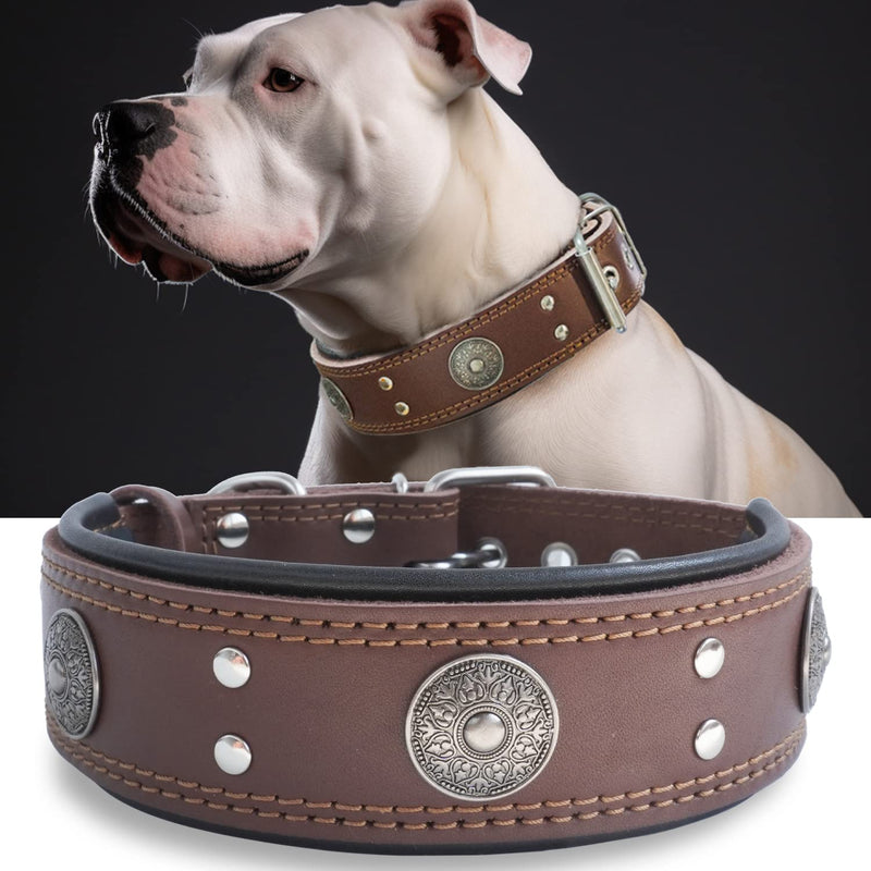 Dog collar leather, 5 cm wide robust genuine leather collar, handmade, soft and luxurious, eye-catching best choice for large and medium dog breeds 57-67.5 cm - PawsPlanet Australia