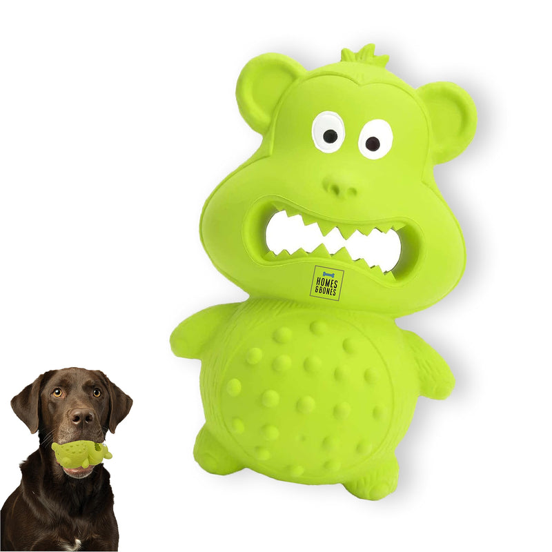 Homes&Bones Karlchen fillable dog toy made of natural rubber for dog activity as a food ball, throwing toy and intelligence toy for medium to large dogs, green - PawsPlanet Australia