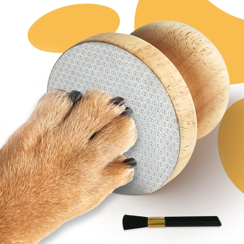 Ivtivfu Dog Nail File, Dog Claw Scratching Board, Dog Nail File Board Scratching Board, Fearless Metal Surface File Boards for Sensitive Dogs, Dog Training Accessories - PawsPlanet Australia