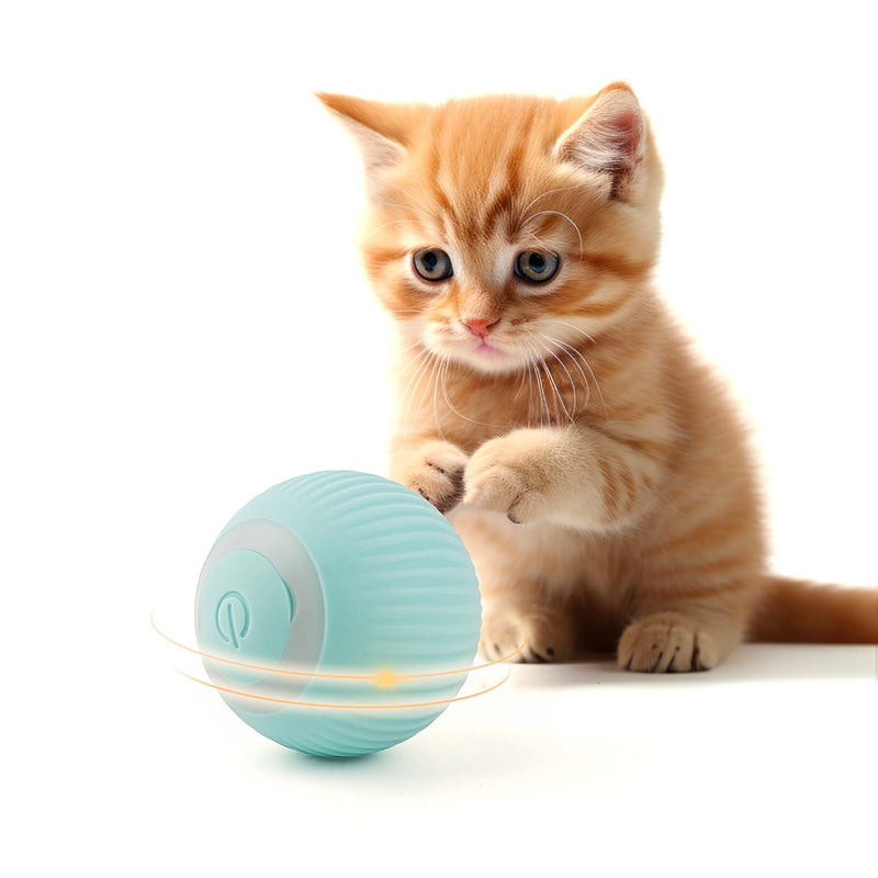 Enjoying Cat Toy Ball Interactive Cat Ball with LED Light & USB Rechargeable Rolling Balls, Automatic Movement, 2 Modes for Cat Kitten Exercise, Blue - PawsPlanet Australia