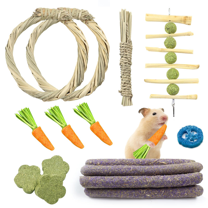 Rabbit chew toys, 17 pieces rabbit toys, hamster toys, rabbits, natural timothy grass chewing balls, nibbler, rabbit accessories for bunnies, chinchillas, hamsters, guinea pigs, gerbils - PawsPlanet Australia