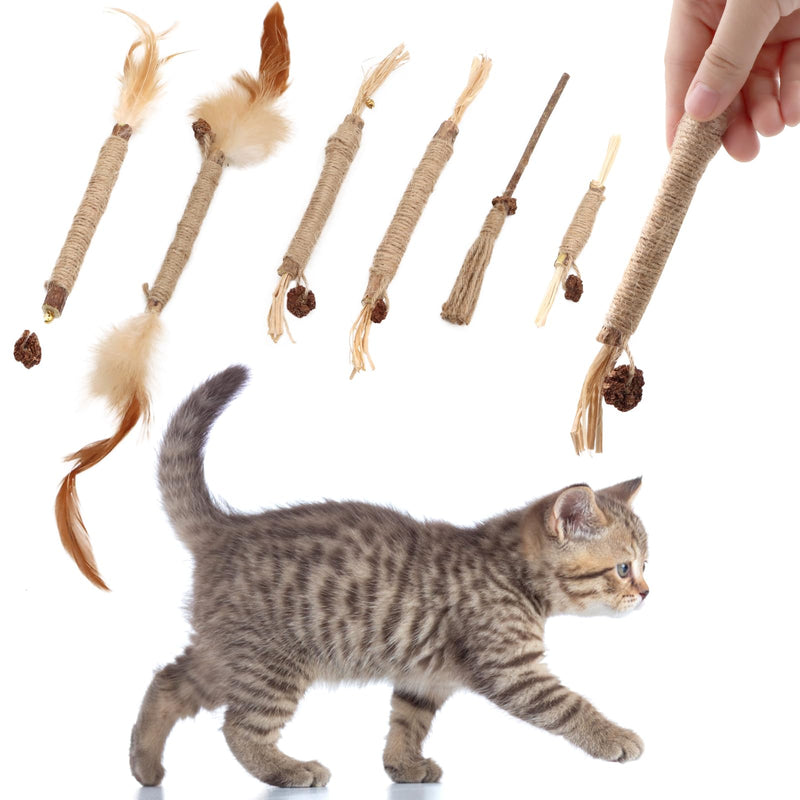 SPOKKI 6 pieces catnip sticks, cat toy set, matatabi stick for cats, dental care, removal of tartar and refreshing breath, organic interaction - PawsPlanet Australia