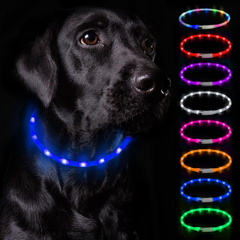 Nepfaivy Luminous Dog Collar USB Rechargeable - Luminous Dog Collar with Adjustable Length for Small to Large Dogs, LED Collar for Dogs with 3 Lighting Modes for Safety, Blue - PawsPlanet Australia