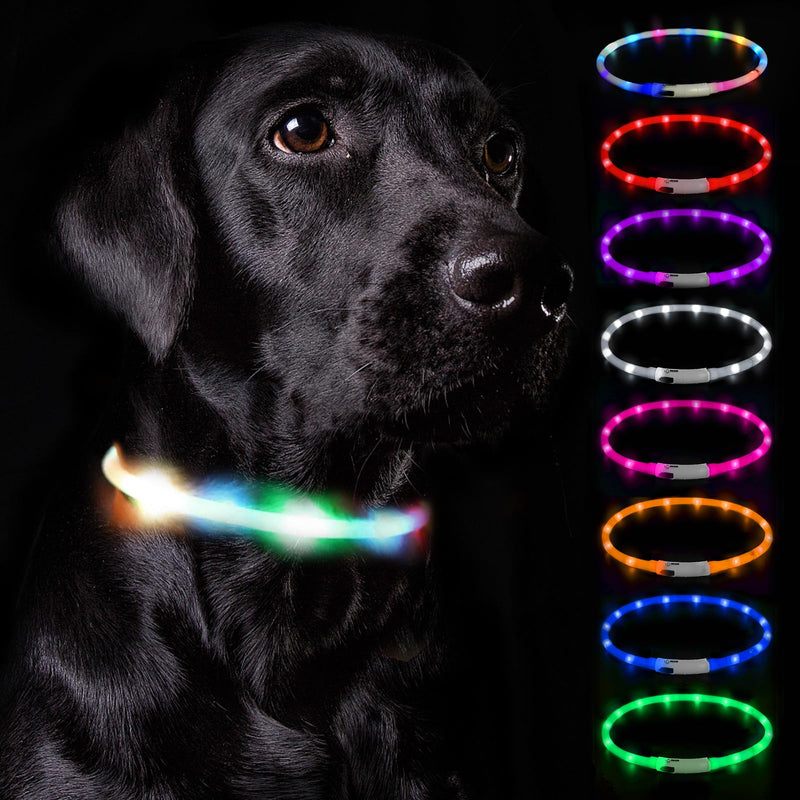 Nepfaivy Luminous Dog Collar USB Rechargeable - Luminous Dog Collar with Adjustable Length for Small to Large Dogs, LED Collar for Dogs with 3 Lighting Modes for Safety, Rainbow - PawsPlanet Australia