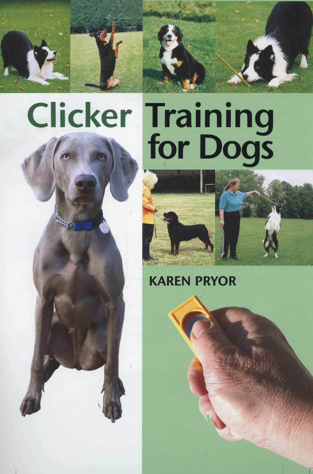 Clicker Training for Dogs: Positive reinforcement that works! - PawsPlanet Australia