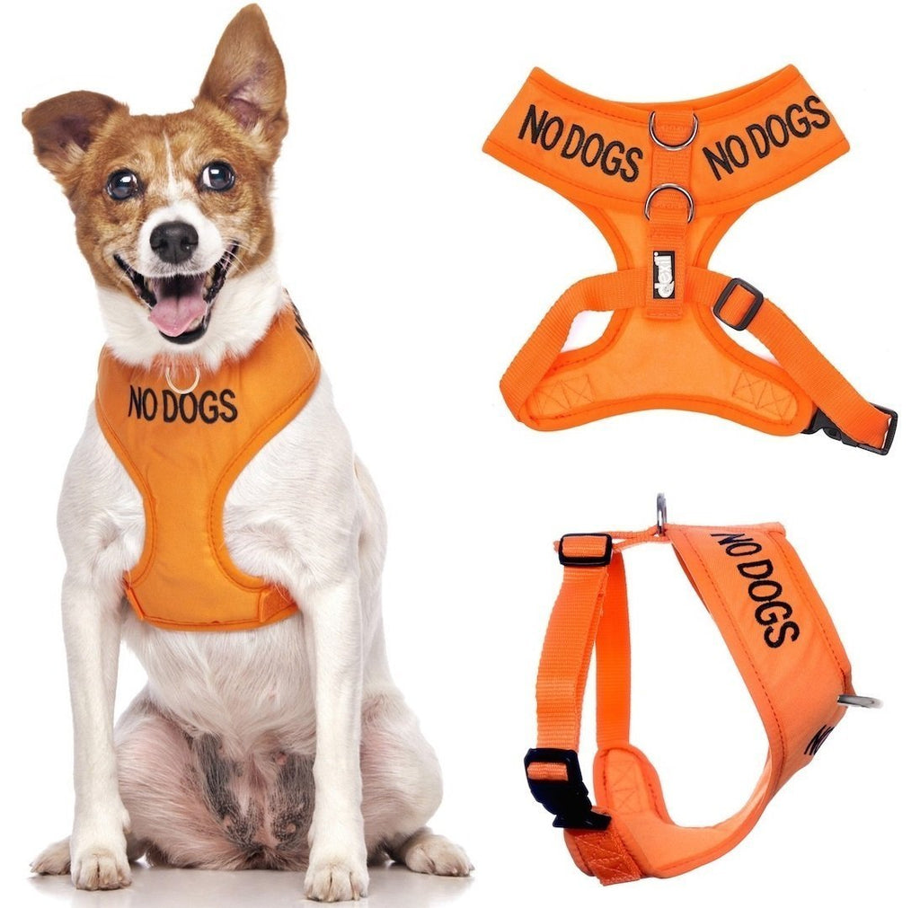 NO DOGS (Not good with other dogs) Orange Colour Coded Non-Pull Front and Back D Ring Padded and Waterproof Vest Dog Harness PREVENTS Accidents By Warning Others Of Your Dog In Advance (S) Small Harness - PawsPlanet Australia