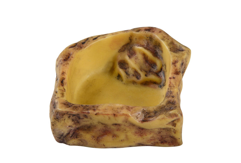 Exo Terra Water Dish Small - PawsPlanet Australia